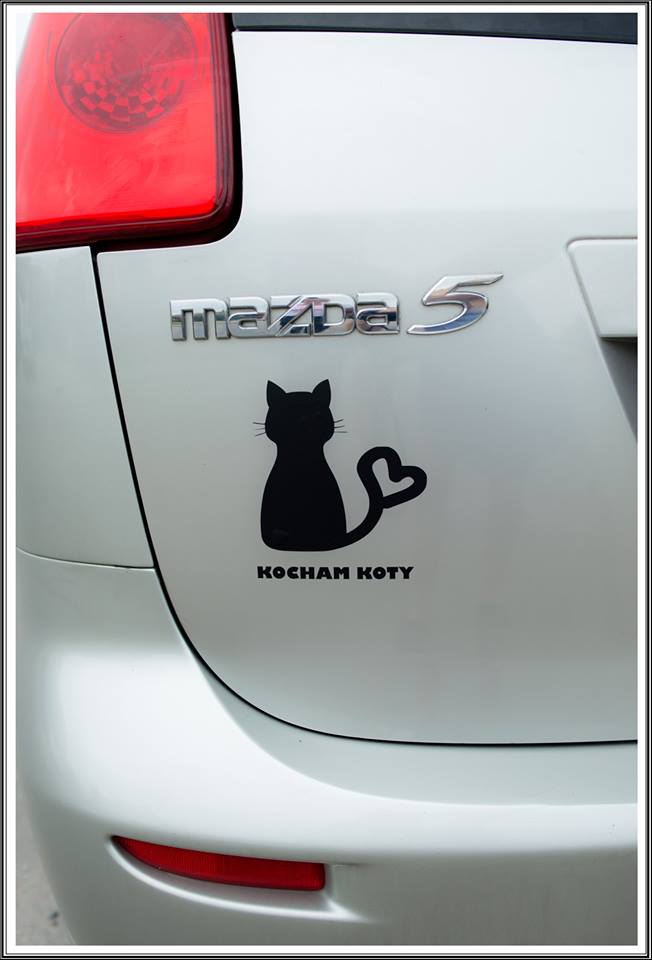 Printed Animal Naklejka na samochód Kocham koty