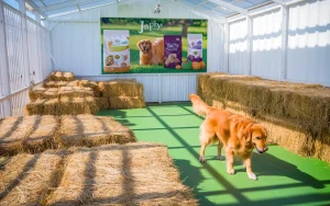 Japhy na Animal Expo: dobrostan psa to nie tylko miska z jedzeniem