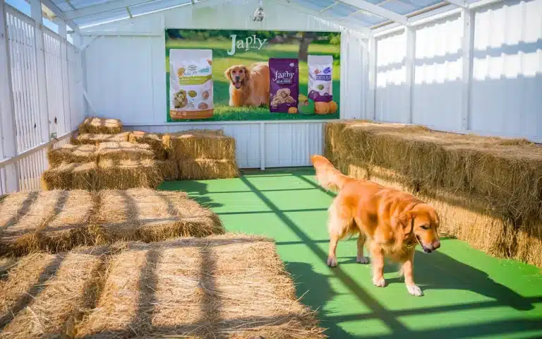 Japhy na Animal Expo: dobrostan psa to nie tylko miska z jedzeniem